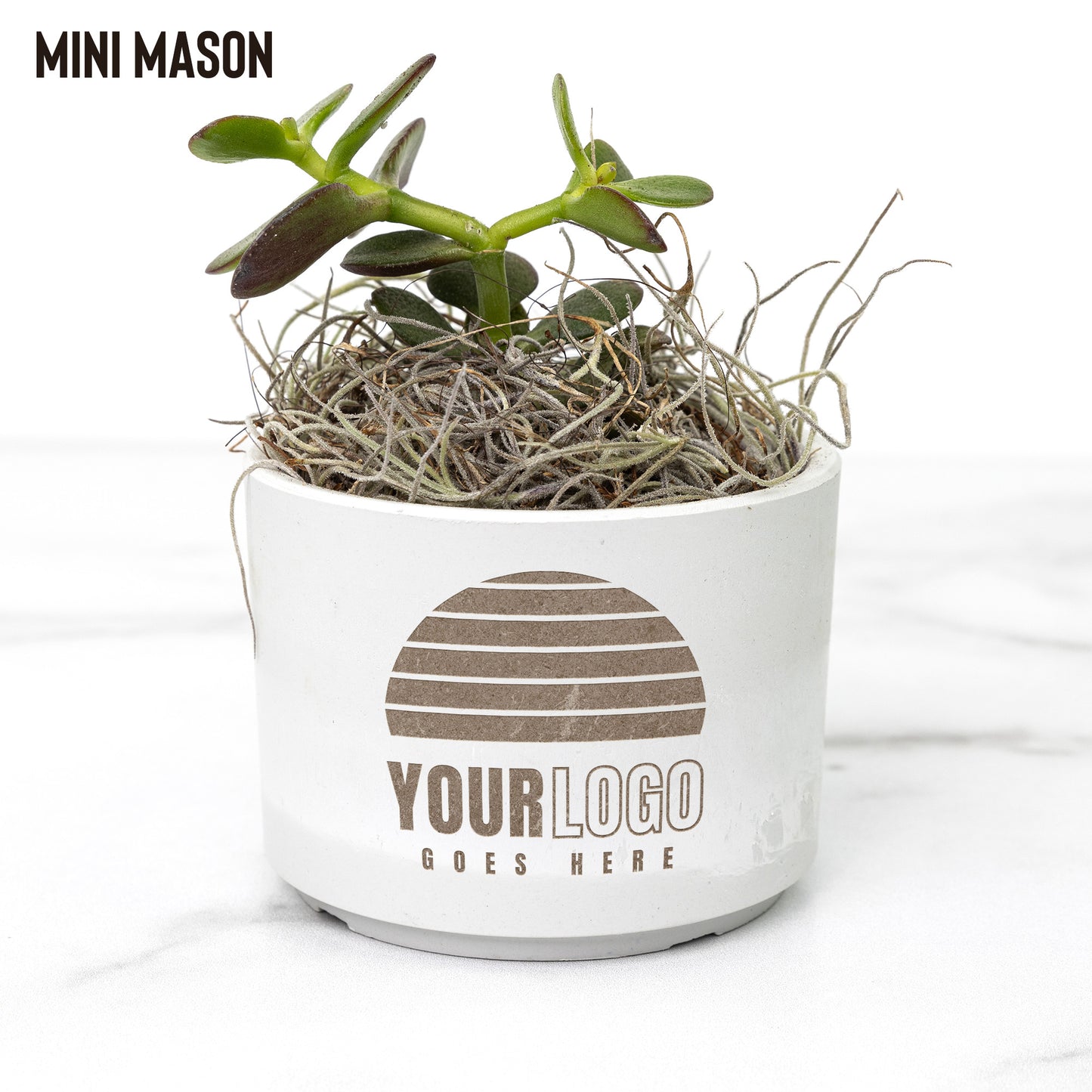Desk Plant Laser Engraved Logo