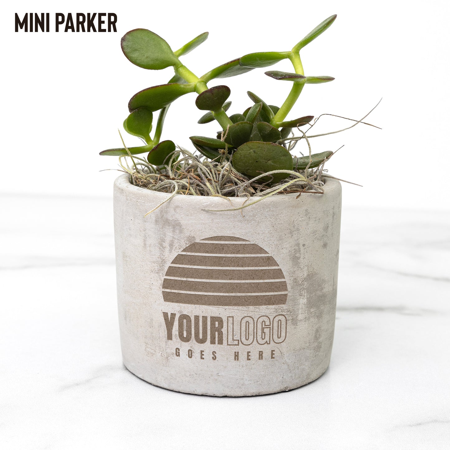 Desk Plant Laser Engraved Logo