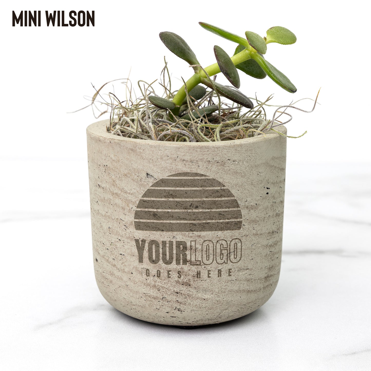 Desk Plant Laser Engraved Logo